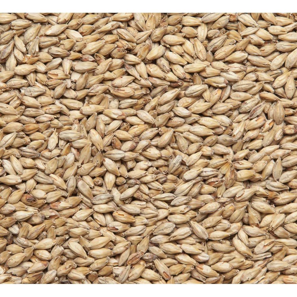 Солод ячменный Пилснер (Россия)